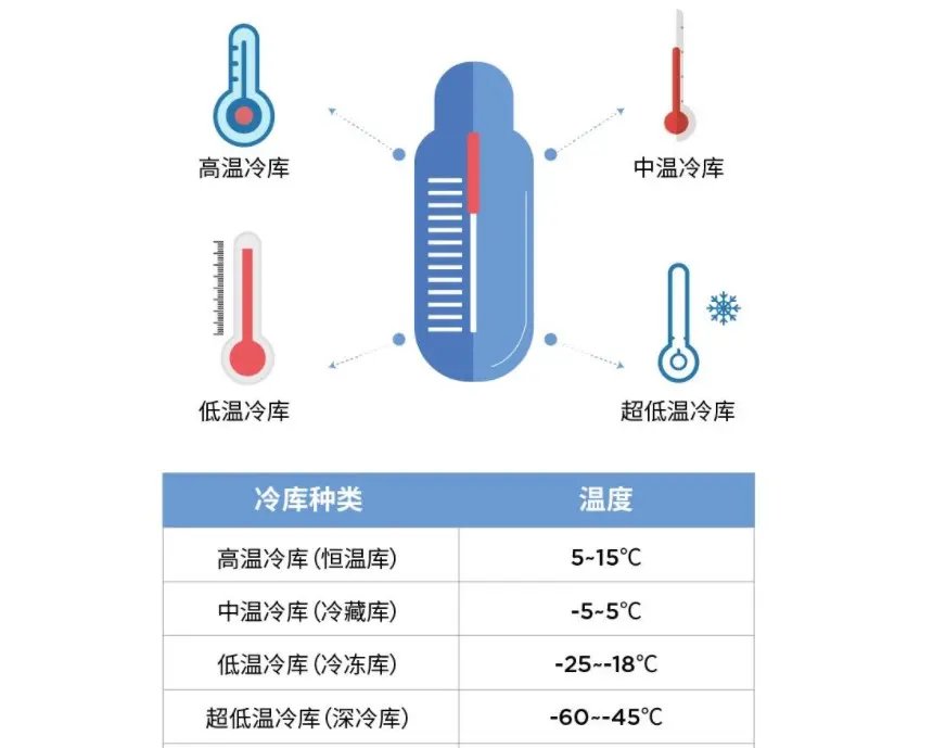 从上海市浦东新区到四川冷链仓储低温仓储的全面解析