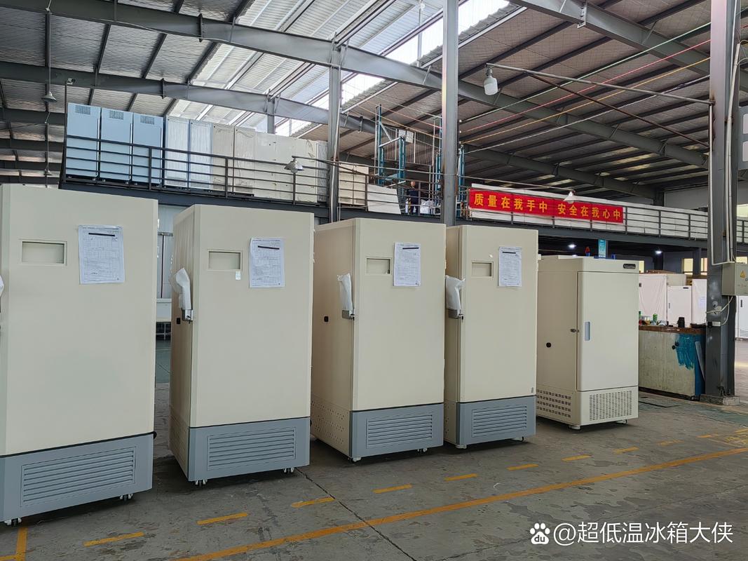 偶然走进工厂仓库,被一排排高大威猛的立式超低温冰箱震撼到了!